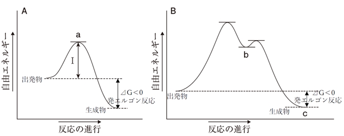 SN1・SN2　エネルギー図，律速段階，遷移状態，立体　105回問103